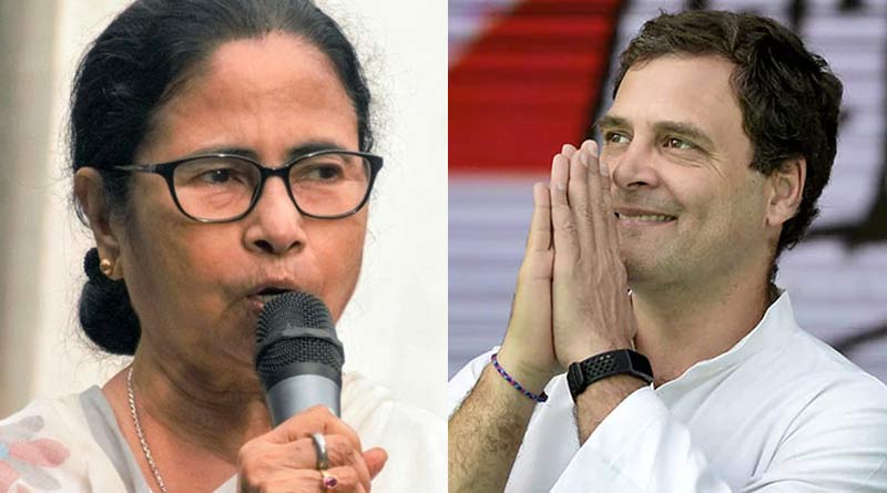 Mamata Banerjee congratulates Rahul Gandhi for getting back MP-ship in a tweet | Sangbad Pratidin