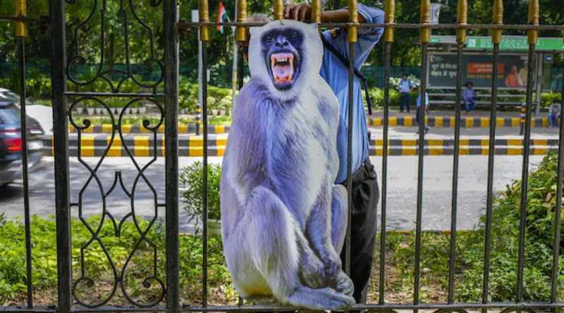৭ লক্ষ বৃক্ষরোপণ, বাঁদর তাড়াতে লেঙ্গুরের কাটআউট, জি২০ সম্মেলনের আগে সাজছে দিল্লি