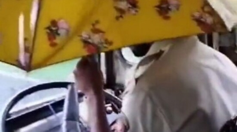 এক হাতে ছাতা, অন্য হাতে স্টিয়ারিং! ভাইরাল মহারাষ্ট্রের সরকারি বাসচালকের ভিডিও