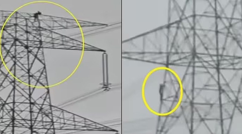 মেজাজ হারিয়ে ৮০ ফুট উঁচু টাওয়ারে নাবালিকা, রাগ ভাঙাতে উঠলেন প্রেমিকও, তারপর…