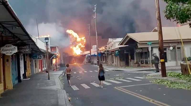 Death toll rises to 93 in Hawaii wildfire। Sangbad Pratidin