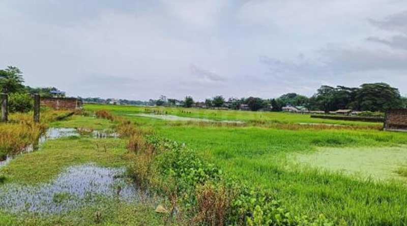 রাখা যাবে না ৬০ বিঘার বেশি জমি, বাংলাদেশে আসছে নতুন ভূমি আইন