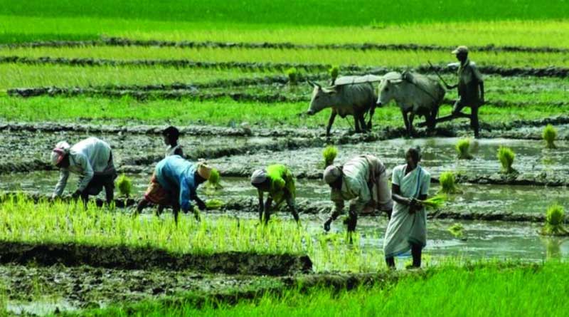 পথ দেখাবে প্রযুক্তি