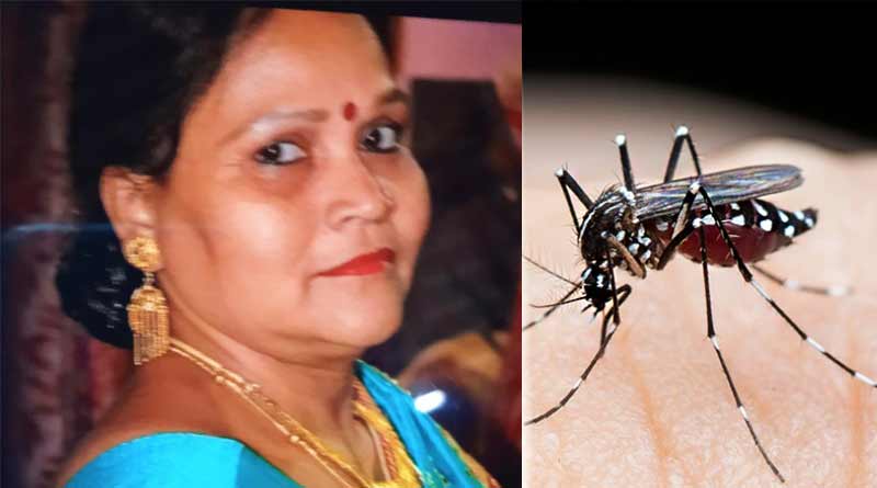 Dengue in Kolkata: An old woman from Salt lake died of dengue