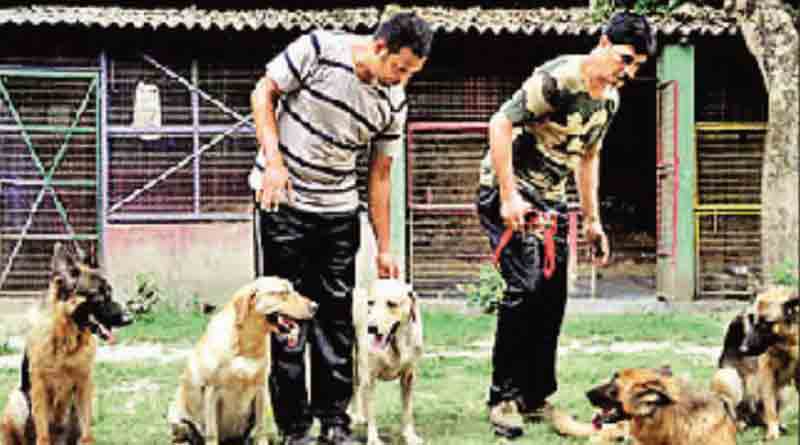 Pumpkin must be included in diet of dog squad in Kolkata Police