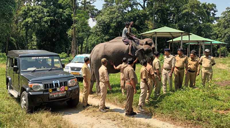 Elephant safari to starts in Gorumara National Park । Sangbad Pratidin