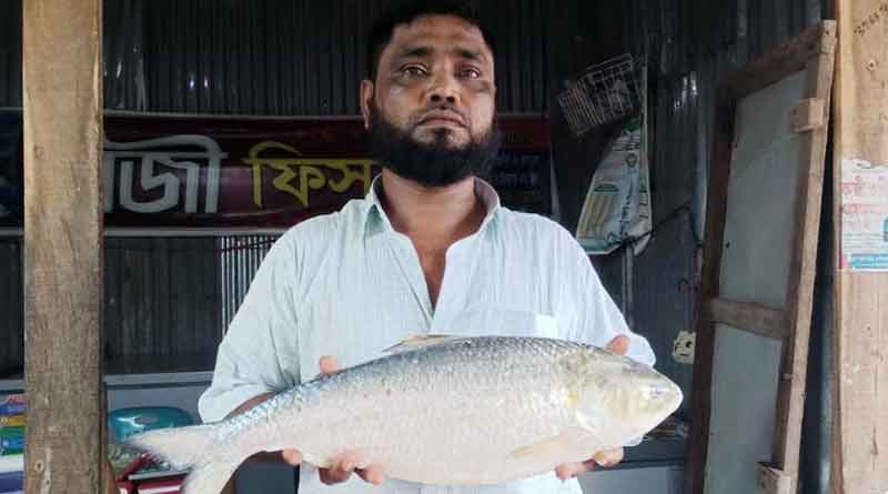 Fisherman sells a Hilsa fish in 12 thousands 39 rupees । Sangbad Pratidin