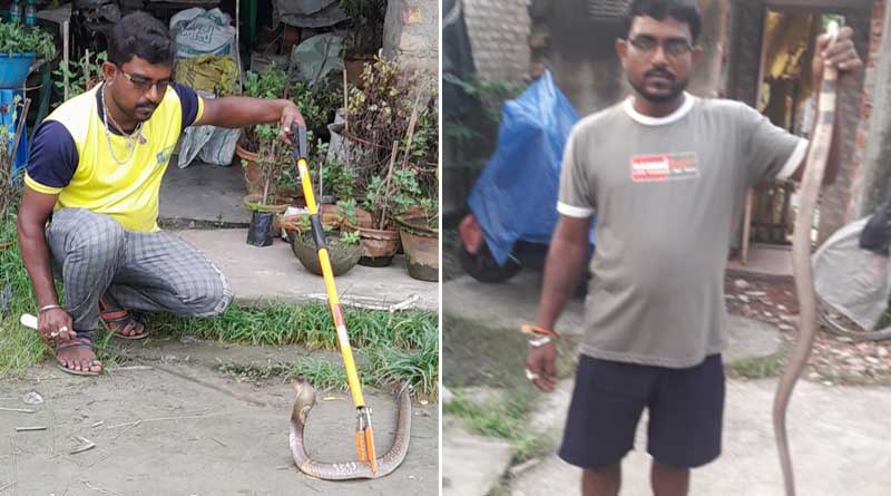 Youth in Kolaghat rescues various kinds of snakes to spread awarness to save the creatures | Sangbad Pratidin