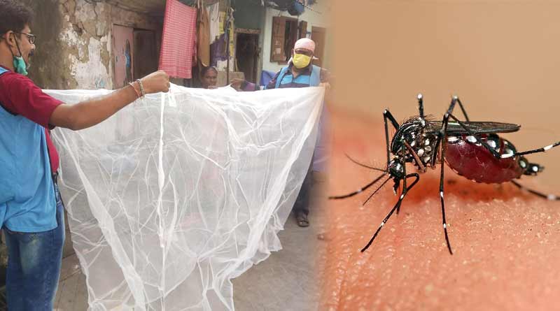 KMC to distribute 30000 medicated mosquito nets LLIN | Sangbad Pratidin