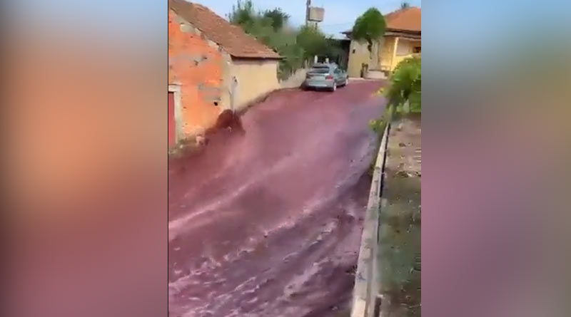 Street in Portugal being flooded with Red Wine। Sangbad Pratidin