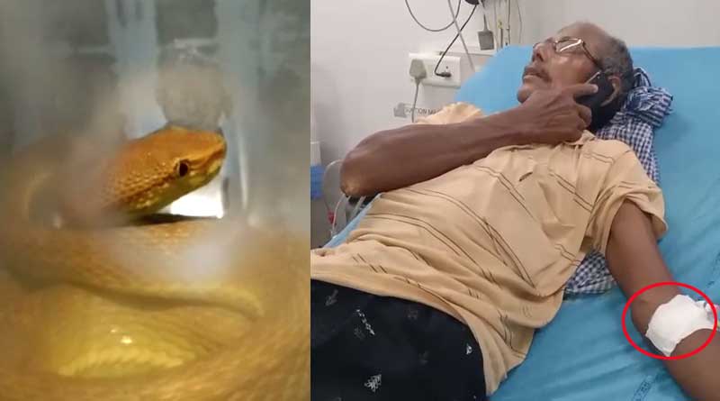 Man catches snake in a bottle after getting bite in Jalpaiguri | Sangbad Pratidin