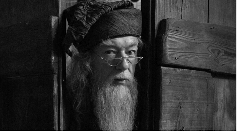Actor Michael Gambon, Harry Potter's 'Dumbledore', dies at 82| Sangbad Pratidin