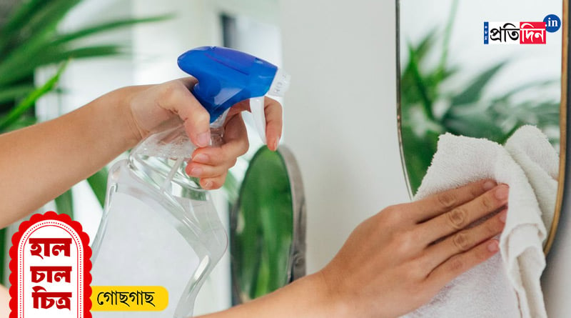 Durga Puja 2023: If you clean your Mirror like this, it will shine like new
