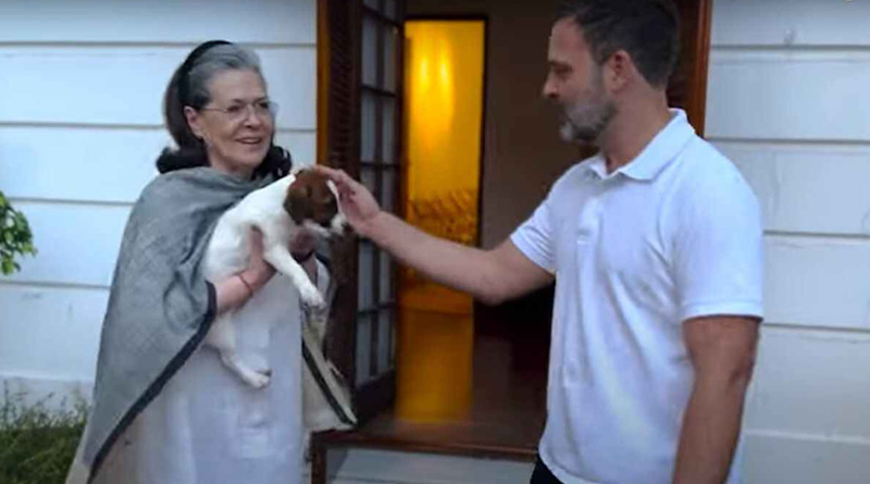 Rahul Gandhi shares video of his new pet in Social Media | Sangbad Pratidin