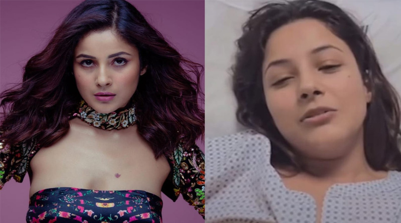 হাসপাতালে ভর্তি শেহনাজ গিল, হঠাৎ কী হল অভিনেত্রীর?