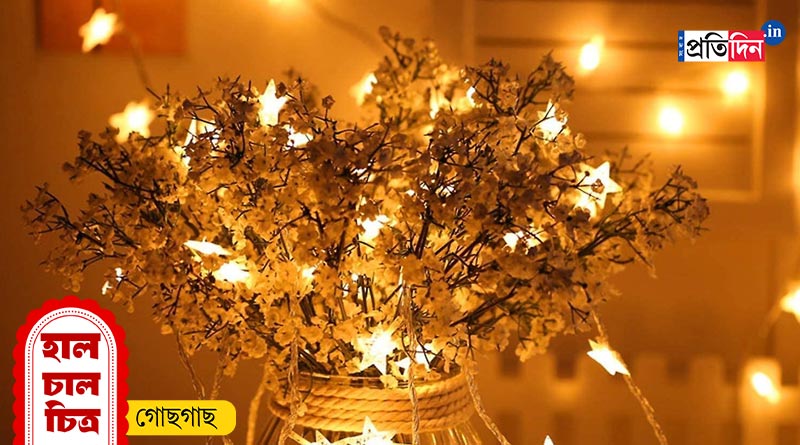 Durga Puja 2023: Light up your home for this Puja with some simple tricks | Sangbad Pratidin
