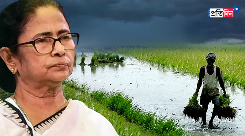 Mamata Banerjee announces, the state to waive the loans of the farmers affected by Monsoon | Sangbad Pratidin