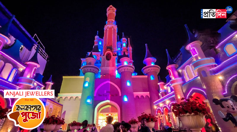 Kolkata Durga Puja: Light show of Sree Bhumi Sporting Club's 'Disneyland' closed