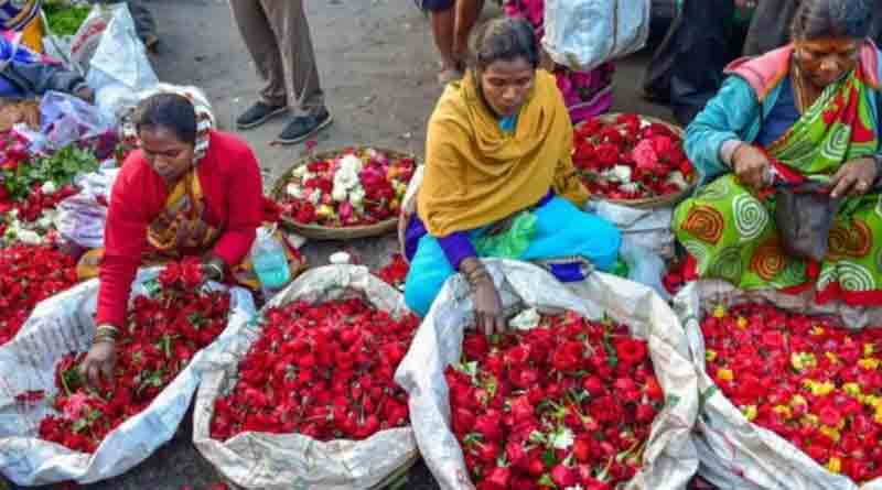High Price of China Rose during Kali Puja | Sangbad Pratidin