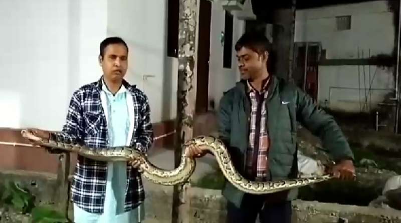 10 feet long Python rescued from the ceiling of kitchen at Malbazar | Sangbad Pratidin