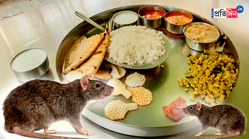 Rat on food tray in Chennai government hospital | Sangbad Pratidin