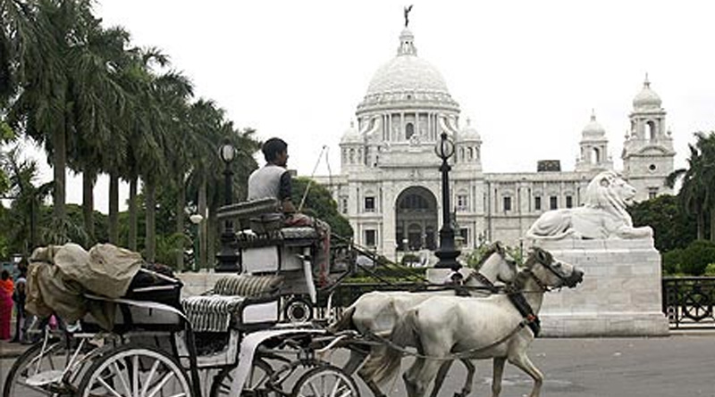 Kolkata horse carriage now need a driving licence| Sangbad Pratidin