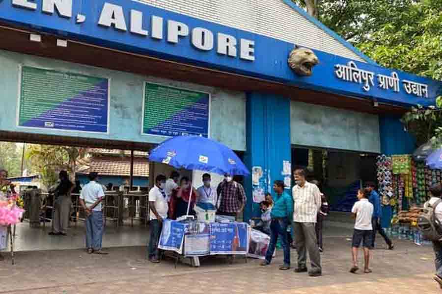 Tickets of Alipore Zoo will be available in Yatri Sathi App | Sangbad Pratidin