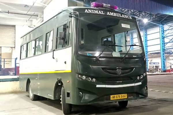 Animal Ambulance