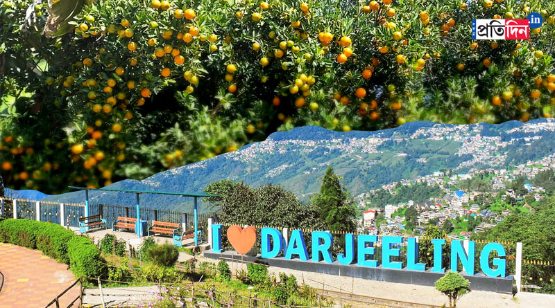 Travel News: Attractive orange festival at Darjeeling hill from December 11 | Sangbad Pratidin