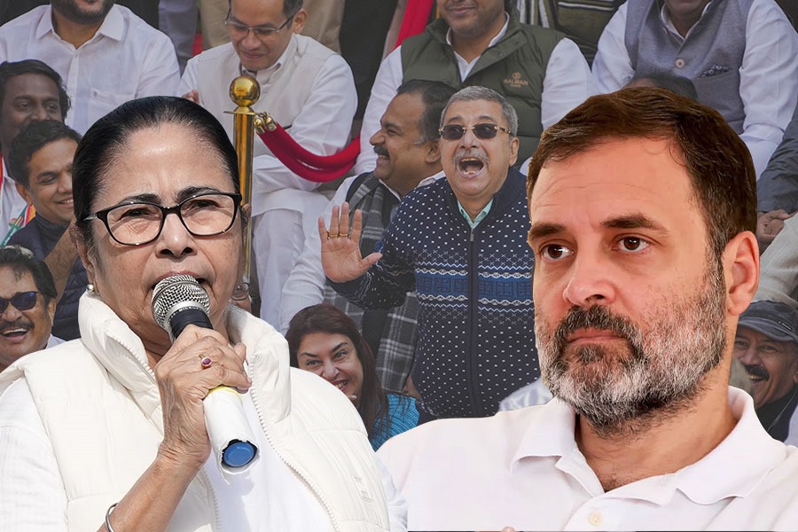 ভিডিও না তুললে…! উপরাষ্ট্রপতির ‘মিমিক্রি’ বিতর্কে ঘুরিয়ে রাহুলকেই কাঠগড়ায় তুললেন মমতা?