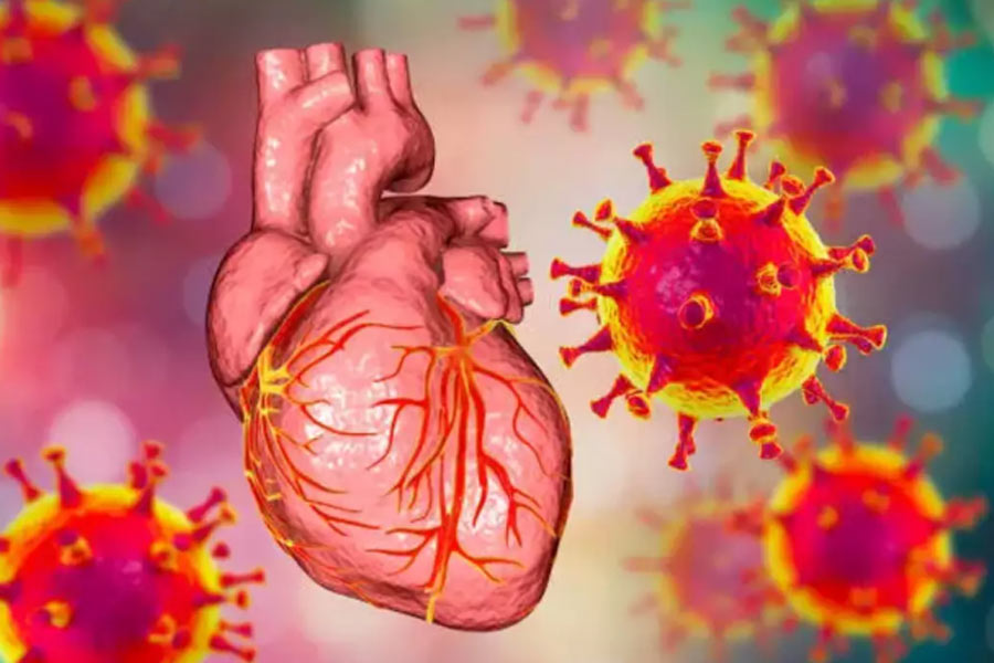 New COVID strain could tigger a global heart failure pandemic, claims study। Sangbad Pratidin