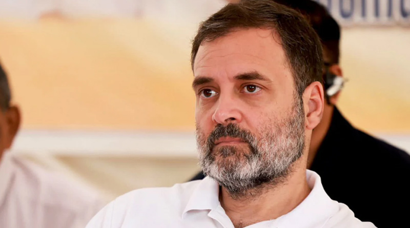 ‘সবচেয়ে বড় অপয়া’, তিন রাজ্যে বিজেপি এগোতেই গেরুয়া নেতার খোঁচা রাহুলকে
