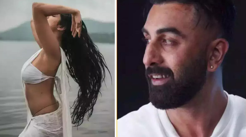 ‘অ্যানিম্যাল’-এর সিক্যুয়েলে রণবীরের বিপরীতে নতুন নায়িকা, বাদ পড়ছেন ‘ভাবি ২’ তৃপ্তি দিমরি?