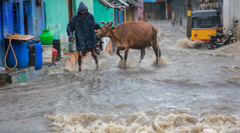 1 died in Tamil Nadu after massive rain hits state | Sangbad Pratidin