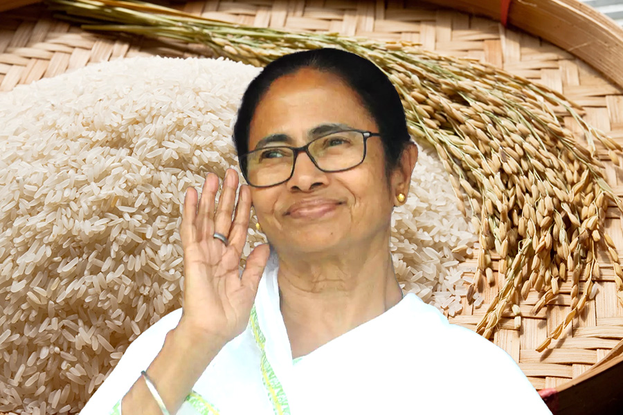 Self-help groups in Raiganj will welcome CM Mamata Banerjee with their famous Tulaipanji Rice | Sangbad Pratidin