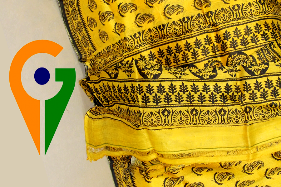 দর বাড়িয়ে জিআই তকমা পেতে চলেছে এবার মুর্শিদাবাদের প্রিন্টেড সিল্ক, খুশি হস্তশিল্পীরা