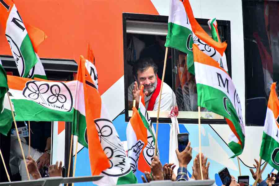 অসমে রাহুলের ন্যায় যাত্রায় তৃণমূল কর্মীরা! বাস থেকে অভিবাদন কংগ্রেস নেতারও