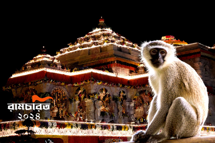 Monkey Enters Ayodhya Ram Temple Sanctum Sanctorum | Sangbad Pradin