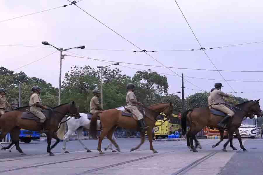 Kolkata Policer short listed 10 horses for Riding training | Sangbad Pratidin