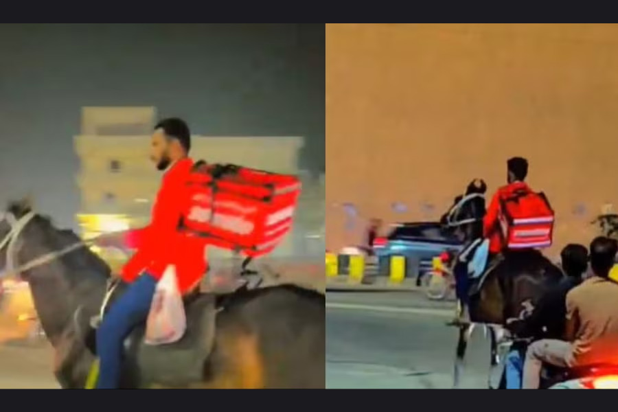 Zomato executive rides horse to deliver order amid fuel crisis | Sangbad Pratidin