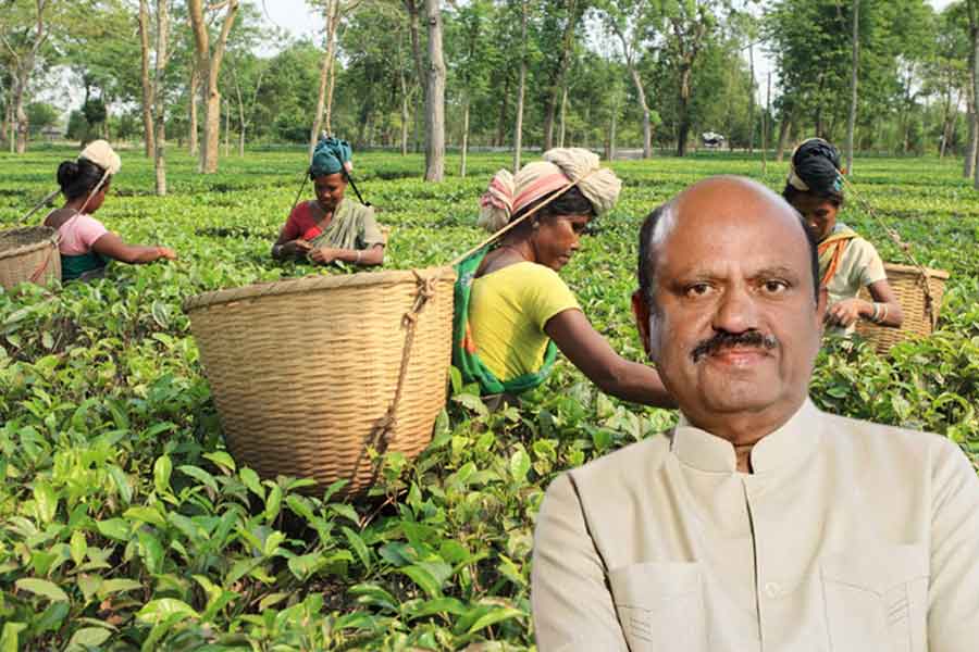 রেলের কাছে অনুরোধ, দার্জিলিংয়ের চা উৎসবের সময় বিশেষ ট্রেন চান রাজ্যপাল