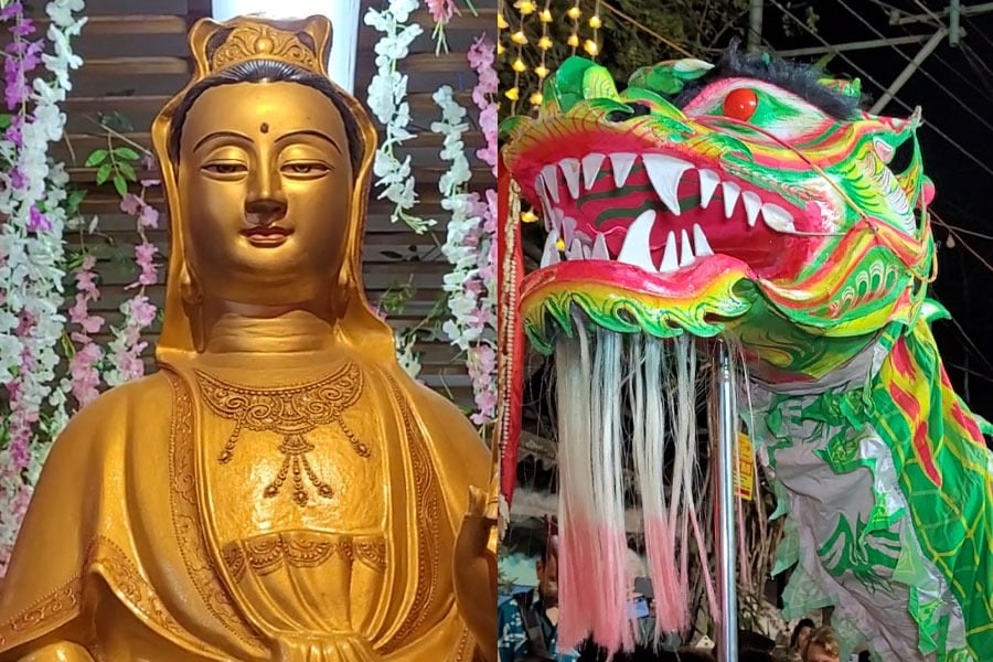 বুদ্ধ থেকে ড্রাগন! চিনা নববর্ষে মাতে কলকাতাও