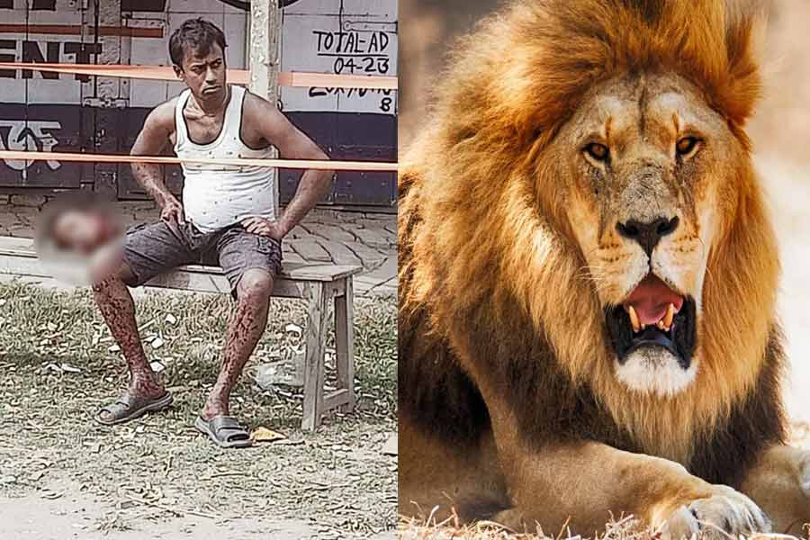 ৩ বছর আগে সিংহের খাঁচায় ‘তাণ্ডব’, স্ত্রীর কাটা মুন্ডু হাতে ঘুরে ফের শিরোনামে সেই গৌতম