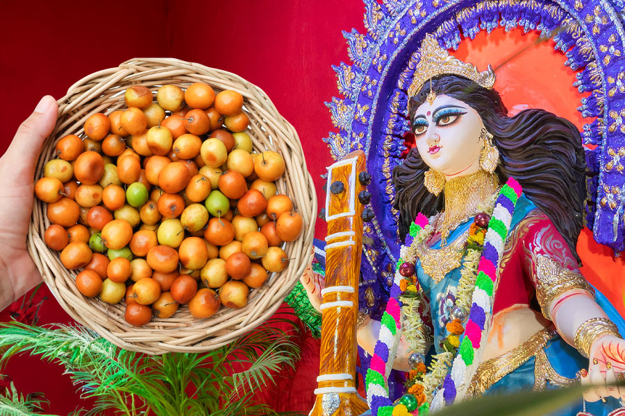 Reason behind myth of having jujube before Saraswati Puja | Sangbad Pratidin