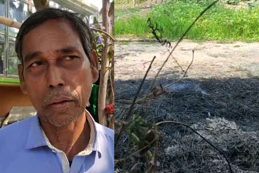 Sandeshkhali Incident: Fire broke out in TMC leader's haystack । Sangbad Pratidin
