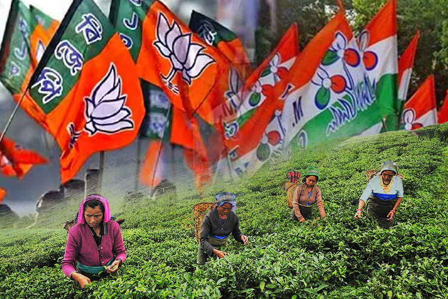 BJP is devastated in tea garden area before Lok Sabha Election 2024 | Sangbad Pratidin