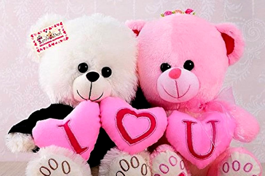 Celebrate Teddy Day with your partner this way before Valentine's Day | Sangbad Pratidin