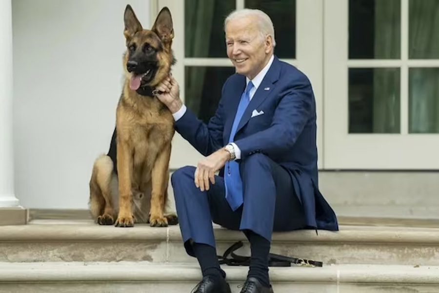 Joe Biden pet dog allegedly bit 24 Secret Service personnel | Sangbad Pratidin