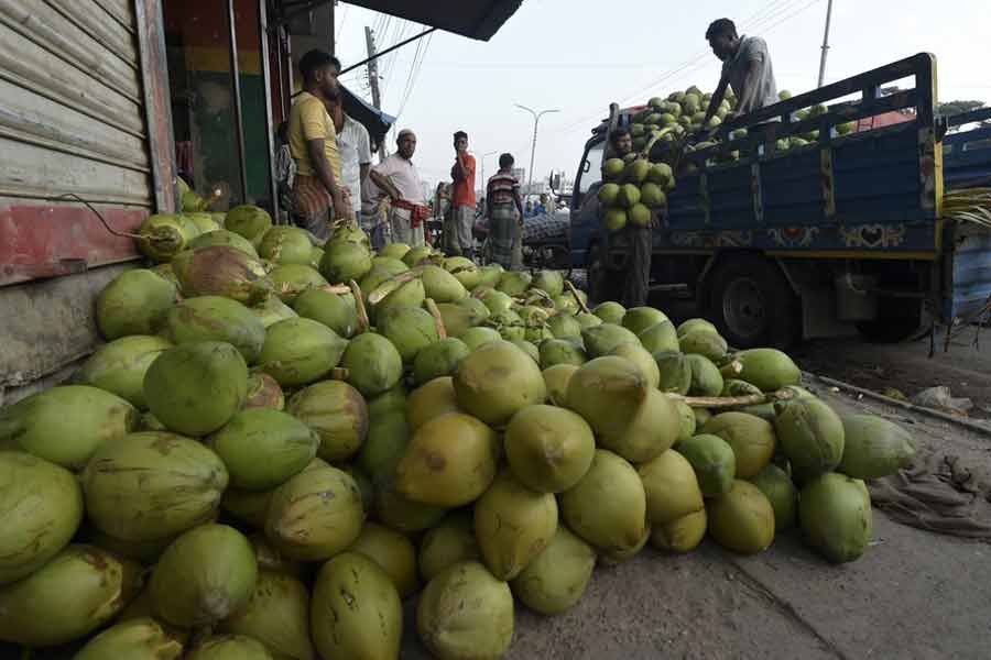 For the first time India export coconut to Bangladesh। Sangbad Pratidin