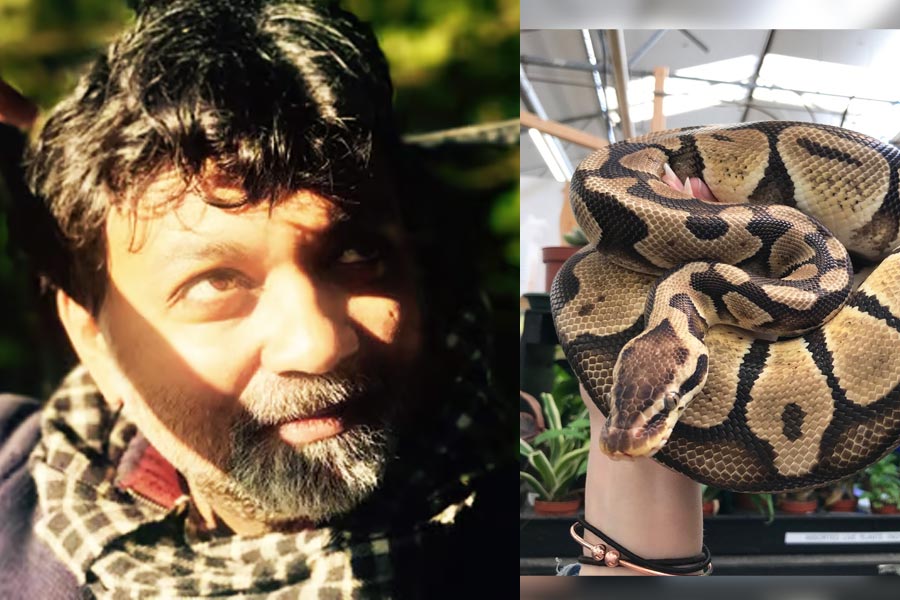 Director Srijit Mukherji adopts python snake | Sangbad Pratidin